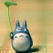 婧小喵Totoro