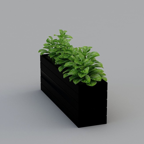 Modern Plants,Plants,Black,Greater than 50 cm