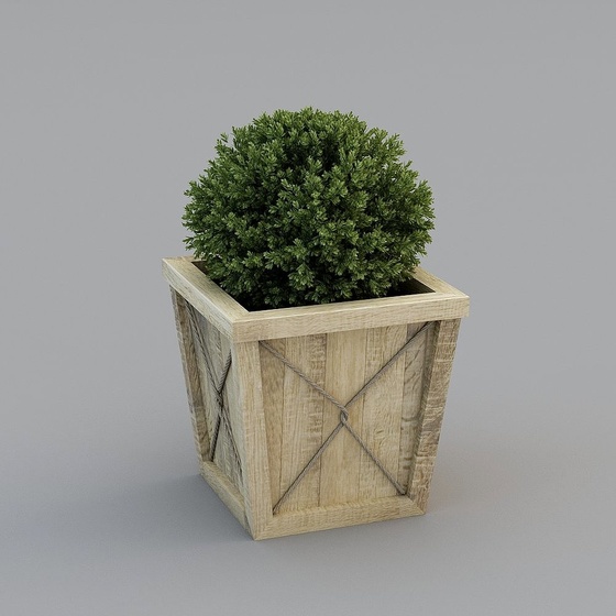 Contemporary Plants,Plants,green,Greater than 50 cm