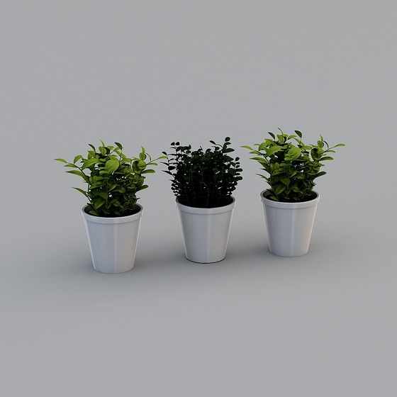 Modern Transitional Plants,Plants,Black,Less than 50 cm