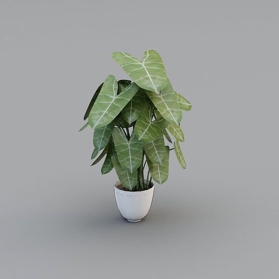 Art Deco Asian Modern Plants,Plants,Green,Greater than 50 cm