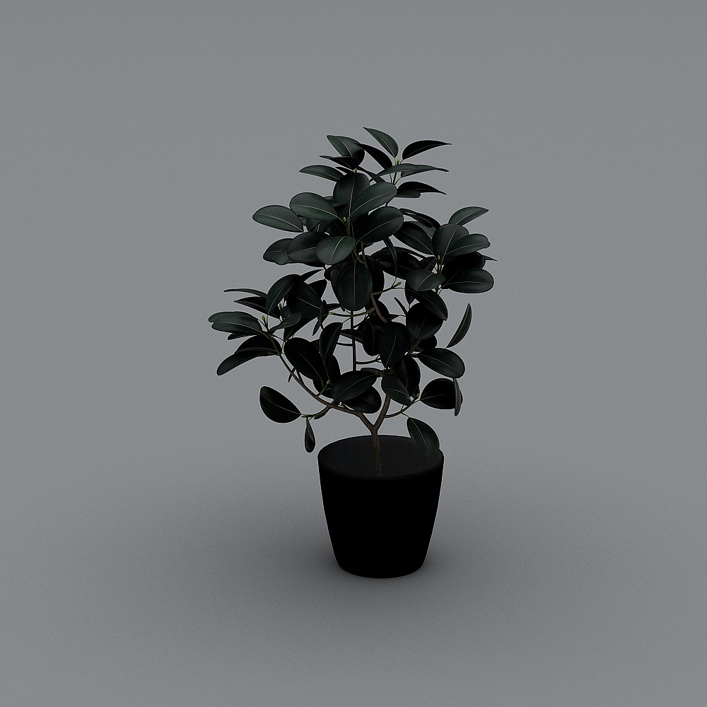 花6565