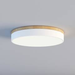 三维灯都·ZE-现代简约客厅卧室书房原木吸顶灯-965-300-白色3D模型