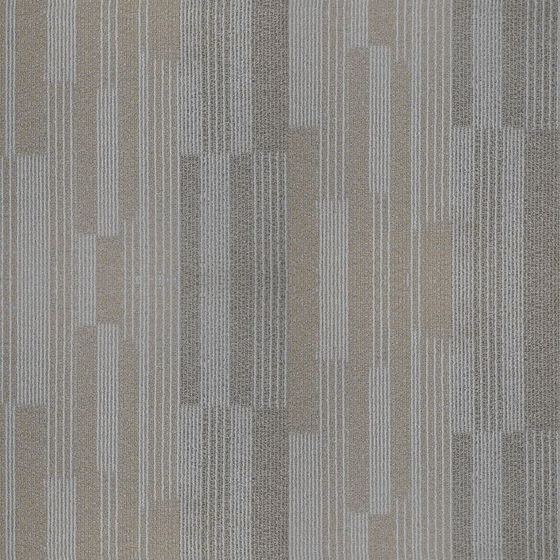 Luxury Carpets,Gray